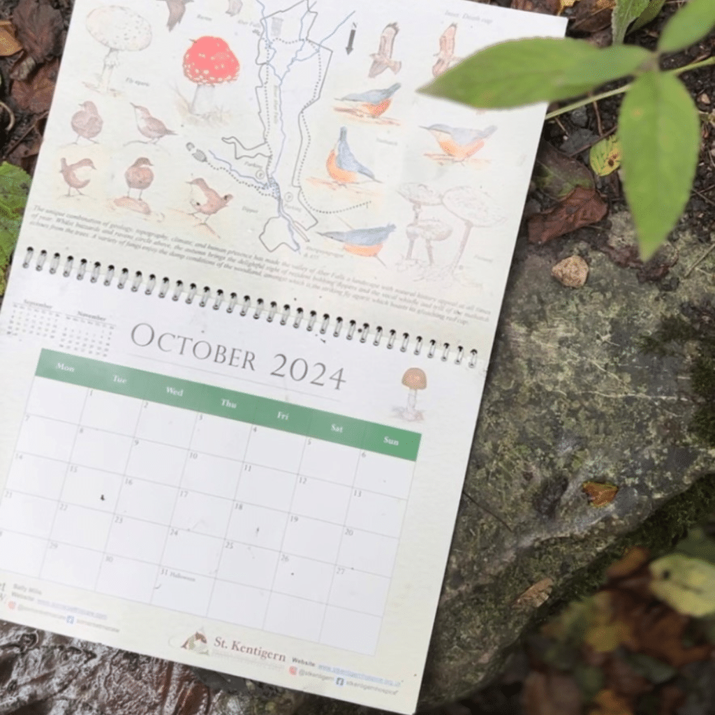 Walk Through the Seasons Calendar for October