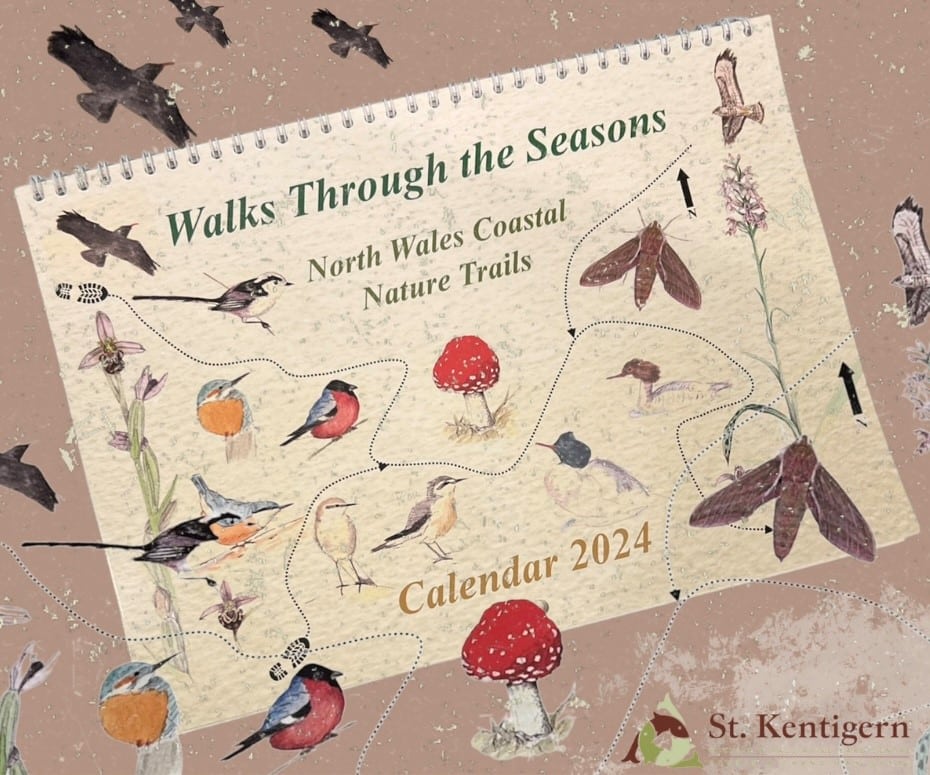 Walk Through the Seasons Calendar
