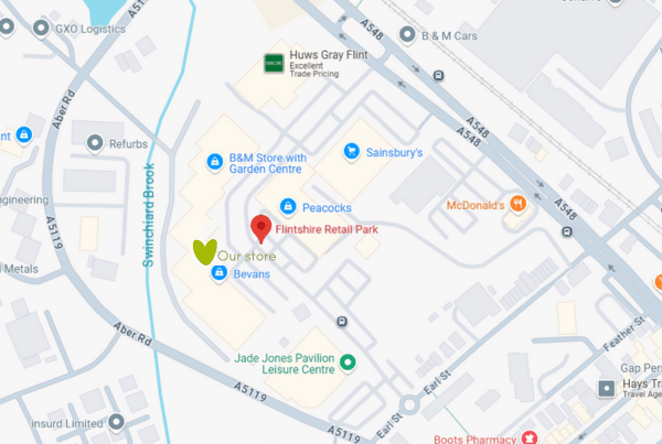 Flint-Map-Retail-Park